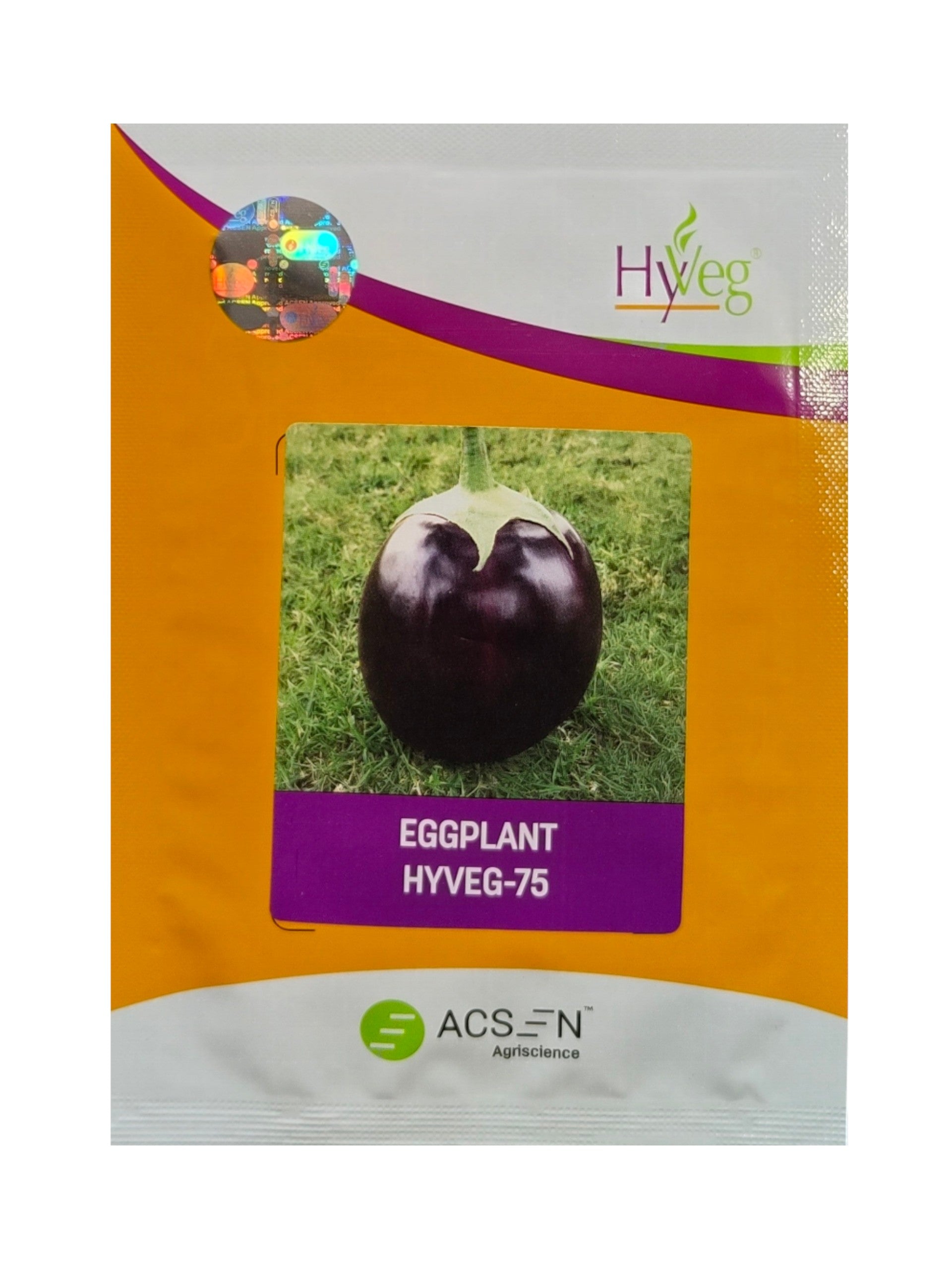 Brinjal Hyveg 75 F1 Hybrid Seeds (10Gm)