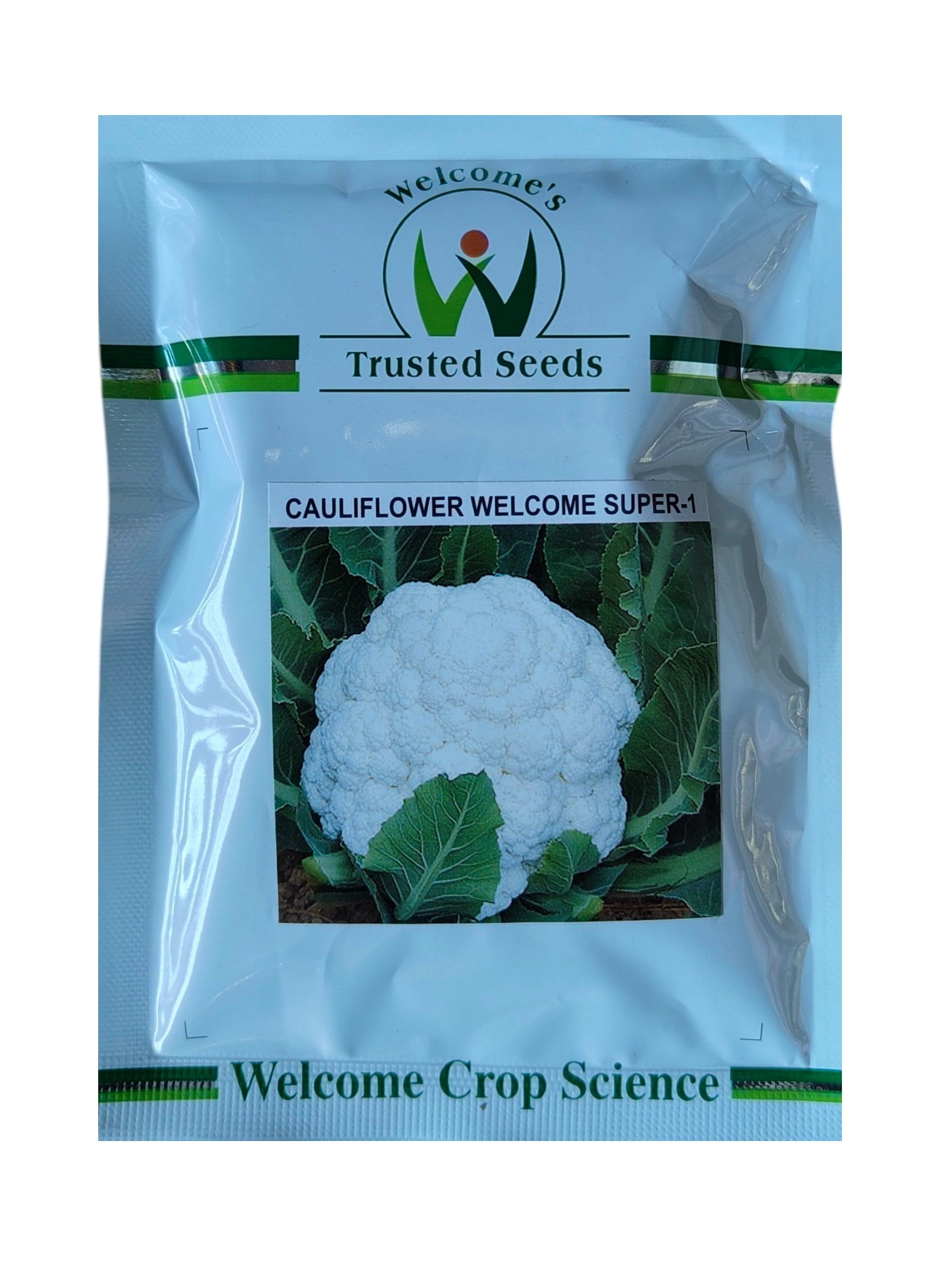 Beejkart 26AW CAULIFLOWER COLOR 1