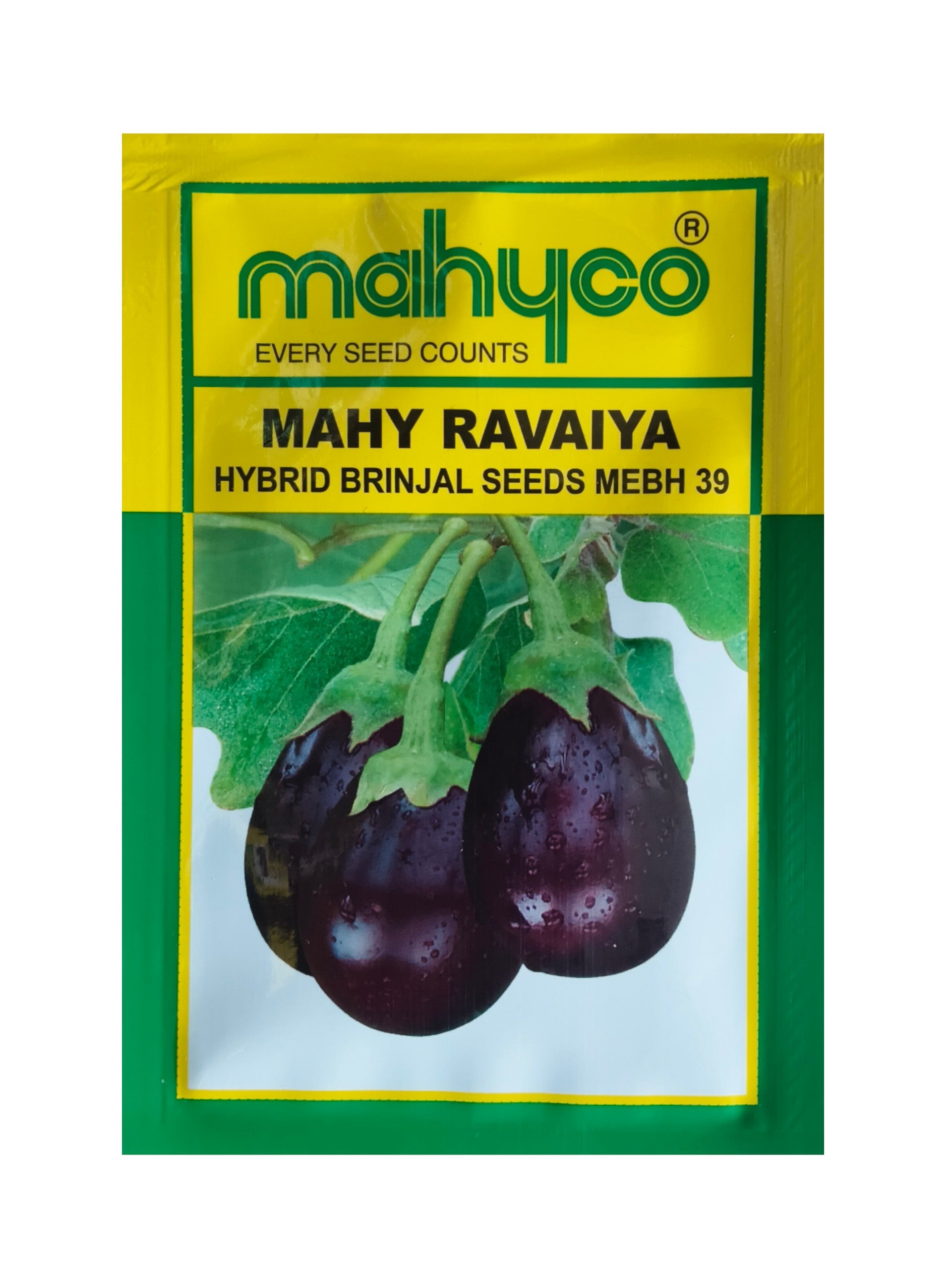 Mahy Ravaiya MEBH-39 F1 Hybrid Brinjal Mahyco Seeds (बैंगन
