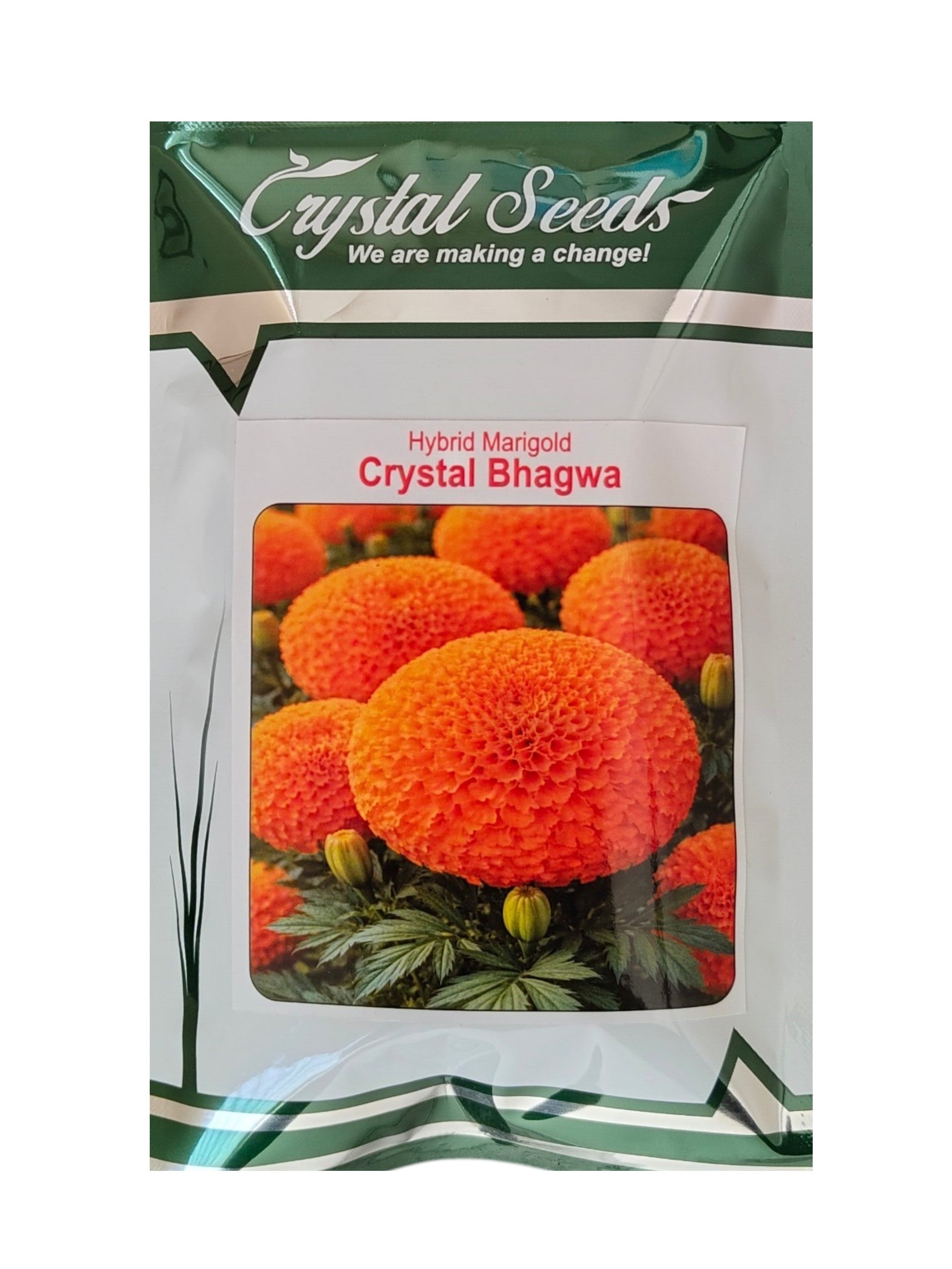 marigold hybrid seeds Marigold Crystal Bhagwa F1 Hybrid Crystal Seeds (1000 Seed)