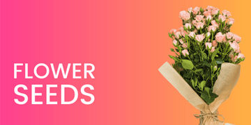 Flower Seeds Online - Beejkart  