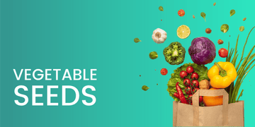 VEGETABLE SEEDS