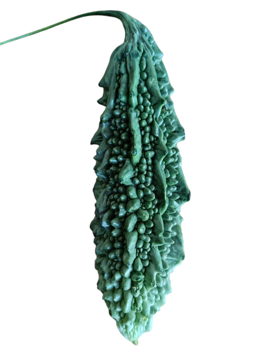 समर करेला नामधारी बीज (करेला)