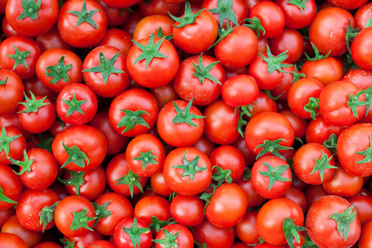 Tomato Heemshikhar F1 Hybrid Syngenta Seeds (टमाटर)(4000N)