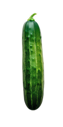 Cucumber Radhi F1 Hybrid Swati Seeds (10Gm)