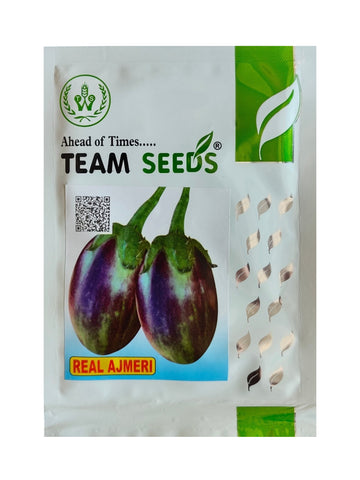 Brinjal Real Ajmeri F1 Hybrid Team Seed (10Gm)