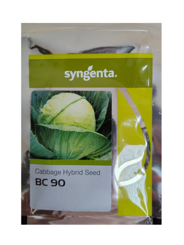 Cabbage BC 90 F1 Hybrid Syngenta Seeds (2000N)