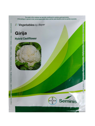 Cauliflower Girija F1 Hybrid Seminis Bayar Seed 10Gm