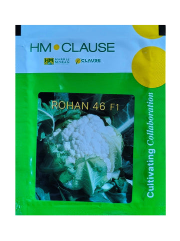Cauliflower Rohan 46 F1 Hybrid HM Clause Seeds (10Gm)