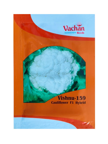 Cauliflower Vishnu 159 F1 Hybrid Vachan Seeds 10Gm