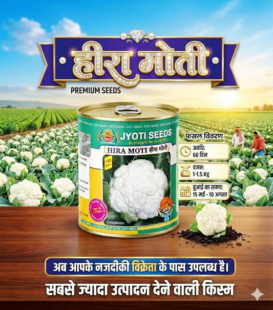 हीरा मोती फूलगोभी के बीज (फूलगोभी)
