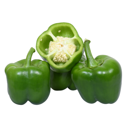 Capsicum Fiza F1 Hybrid Known You Seeds (1 Gm) KGP