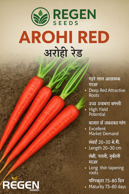 Carrot Arohi Red Regen Seeds (500Gm)