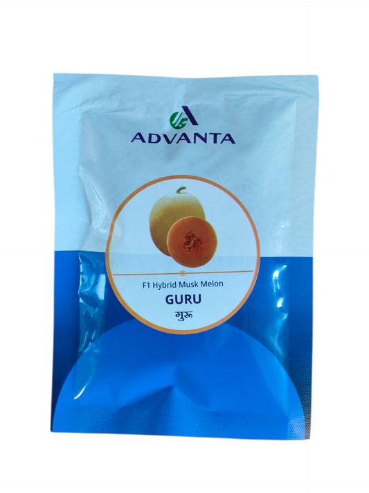 गुरु मस्कमेलन एडवांटा 50 ग्राम