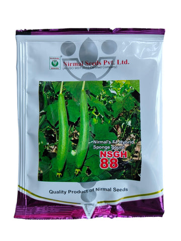 Sponge Gourd NSGH 88 F1 Nirmal Seeds