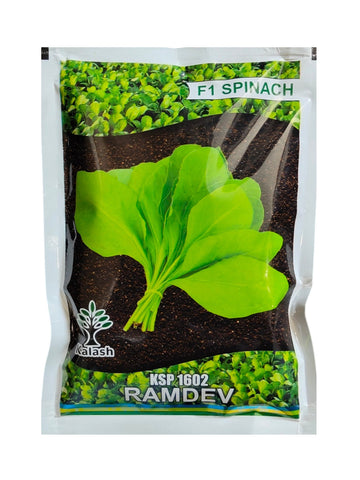 Spinach Ramdev KSP 1602 F1 Hybrid Kalash Seeds (Palak) (100Gm)
