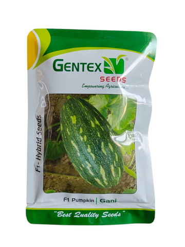 Pumpkin Gani F1 Hybrid Gentex Seed 10 gm