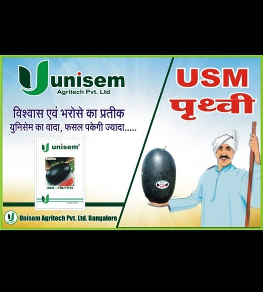 तरबूज उस्म पृथ्वी