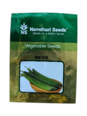 Sponge Gourd Reva F1 Hybrid Namdhari Seeds (50 Gm)