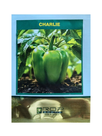 Capsicum Charlie F1 Hybrid Rop Seed (10GM)