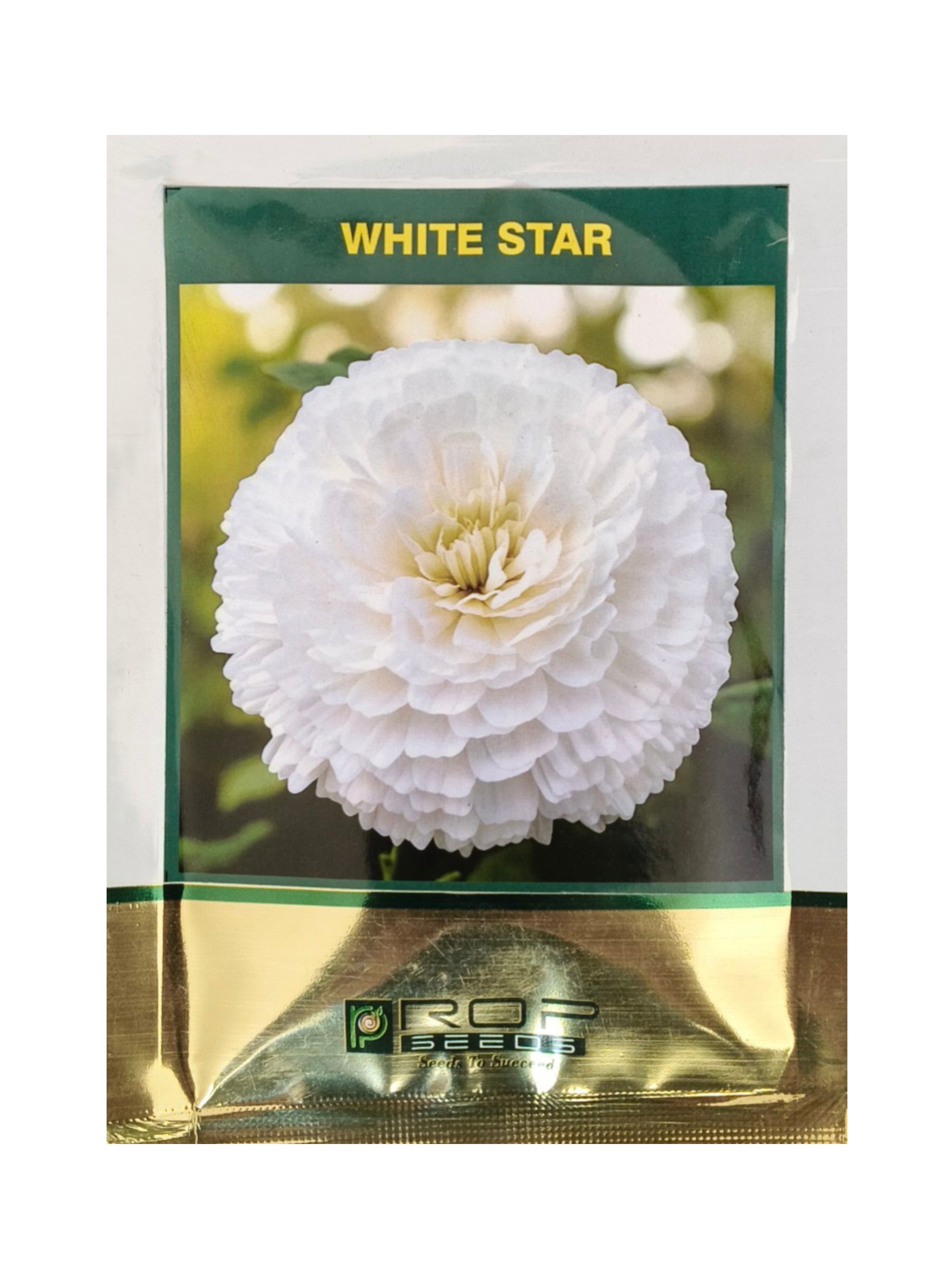 Bijlee White Star Flower Rop Seeds (10Gm)