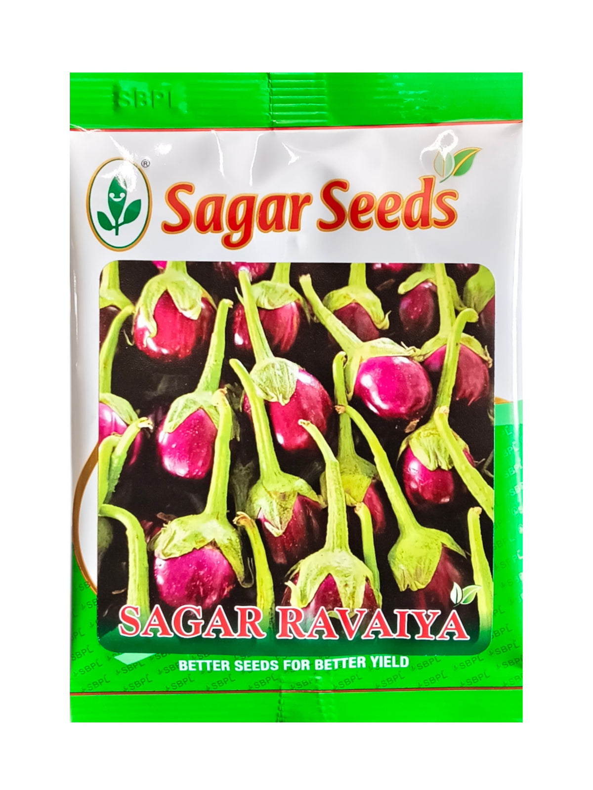 Brinjal Sagar Ravaiya F1 Hybrid Sagar Seed (10Gm)