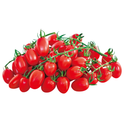 Tomato Siri F1 Hybrid Known You Seeds (1Gm) KGP