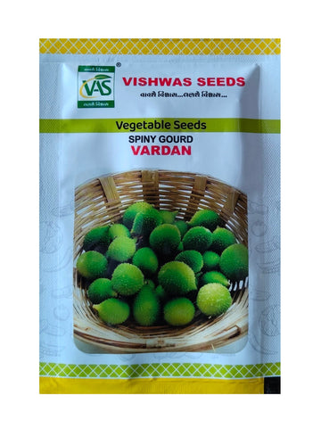 Spiny Gourd Vardan Vishvas Seed (10Gm)