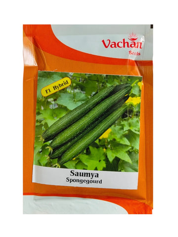 Sponge Gourd Saumya F1 Hybrid Vachan Seeds (50Gm)
