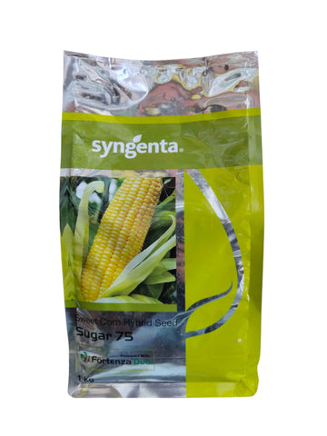 SWEETCORN SUGER 75 F1 HYBRID SYNGENTA SEEDS (1KG)
