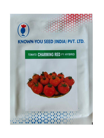 Tomato Charming Red F1 Hybrid Known You Seed (10Gm)