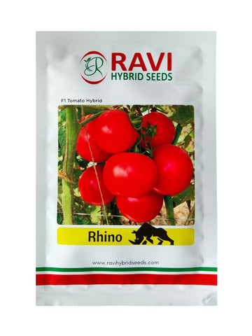 Tomato Rhino F1 Hybrid Ravi Seeds 10Gm