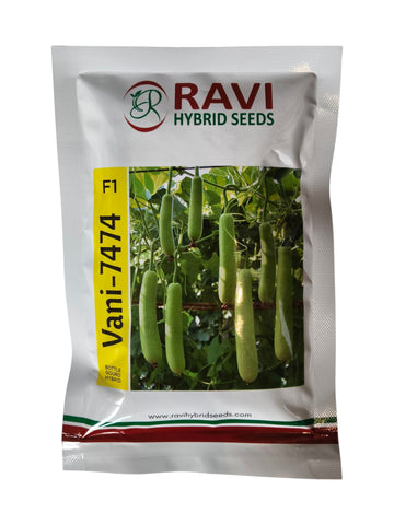 Bottle Gourd Vani-7474 F1 Hybrid Ravi Seeds (10GM)