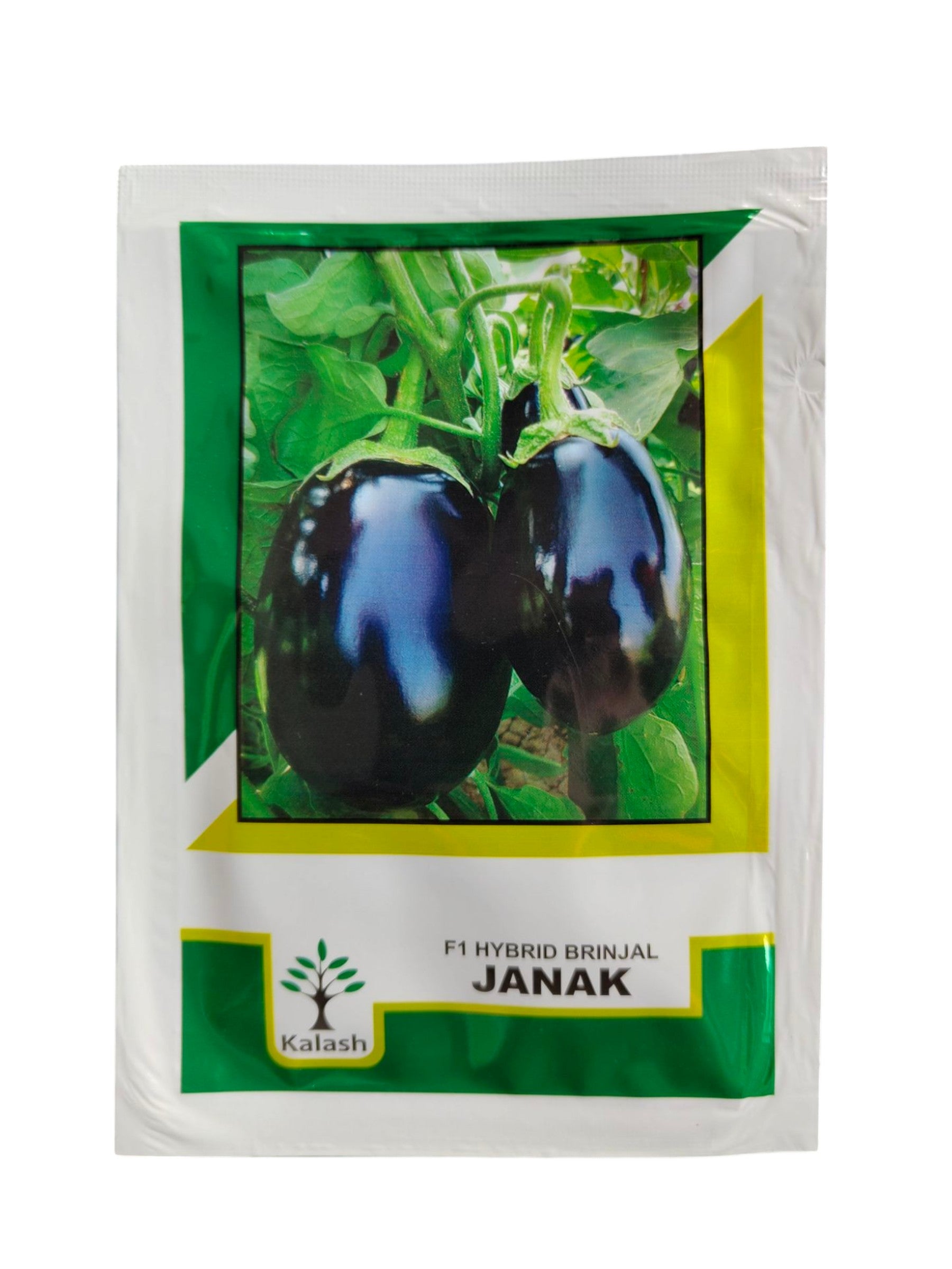 Hybrid Brinjal BSS-539-Janak kalash Seeds