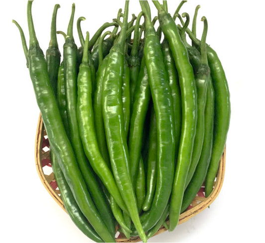 Chilli Jodha F1 Hybrid Ashoka Seeds (10Gm)