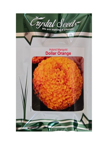 Marigold Dollar Orange Crystal Seeds (1000N)