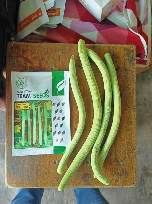 Long Melon Kakdi Saloni Team Seeds (10Gm)