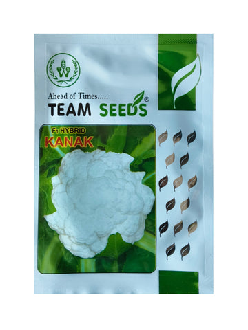 Cauliflower Kanak F1 Hybrid Team Seeds 10Gm