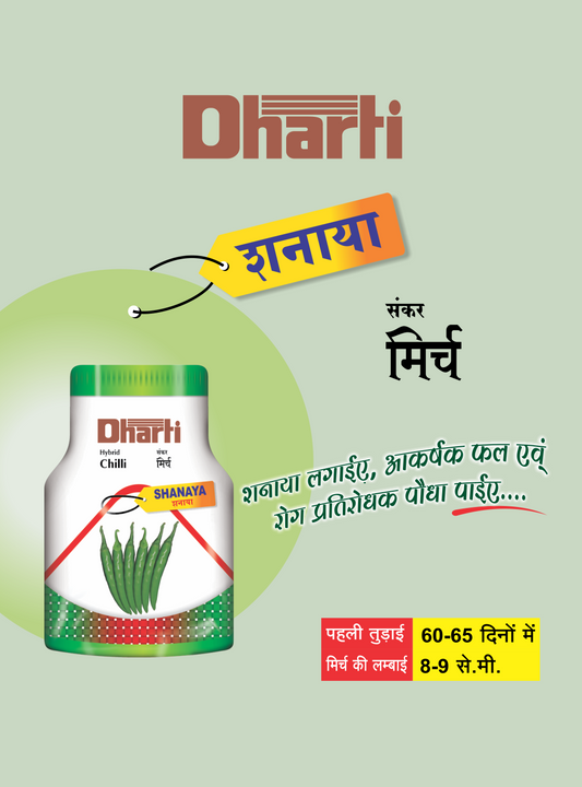 Chilli Shanaya F1 Hybrid Dharti Seeds (10Gm)