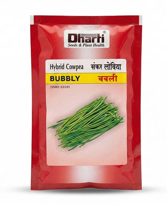 Cowpea Bubbly F1 Hybrid Dharti Seeds (100 Seeds)